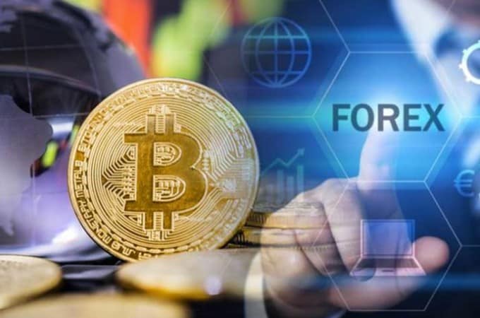 investblogger - Crypto or Forex ?