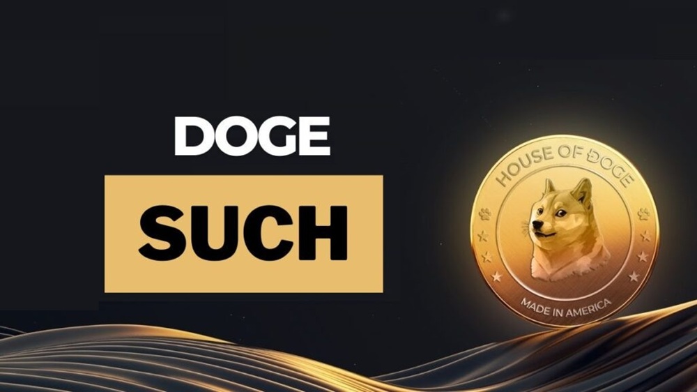 investblogger - such Doege app