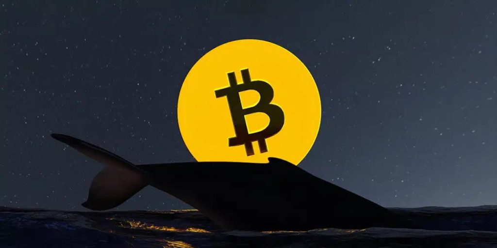 investblogger - BTC Whale